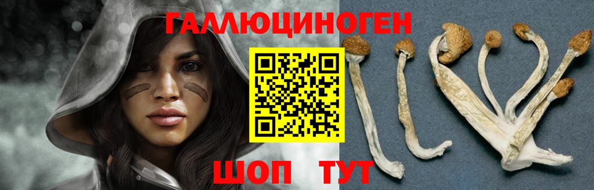 Галлюциногенные грибы прущие грибы Хасавюрт