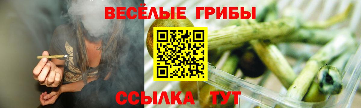 Псилоцибиновые грибы мухоморы  Псилоцибиновые грибы GOLDEN TEACHER  что такое   Хасавюрт  Вход с VPN 